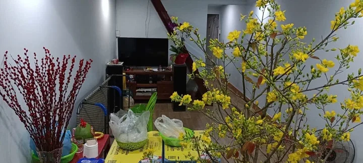 Bất động sản tại Đà Nẵng - ảnh 1