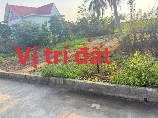 Bất động sản tại Hải Phòng - ảnh 1