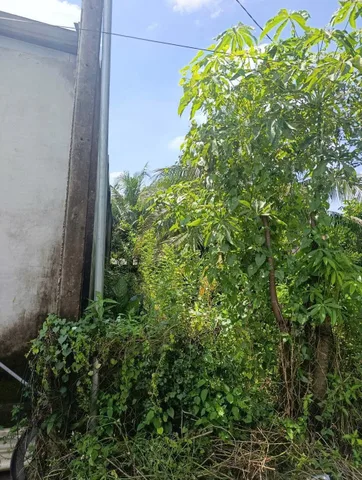 Bất động sản tại Tây Ninh - ảnh 1