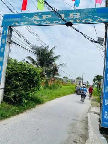 Bất động sản tại Long An - ảnh 1