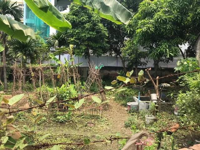 Bất động sản tại Hà Nội - ảnh 1