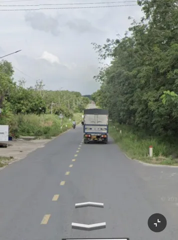 Bất động sản tại Bình Dương - ảnh 1