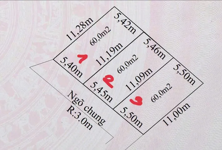 Bất động sản tại Hải Phòng - ảnh 1