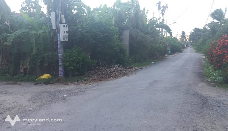 Bất động sản tại Tây Ninh - ảnh 1