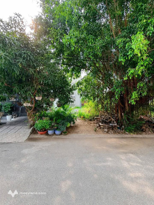 Bất động sản tại An Giang - ảnh 1