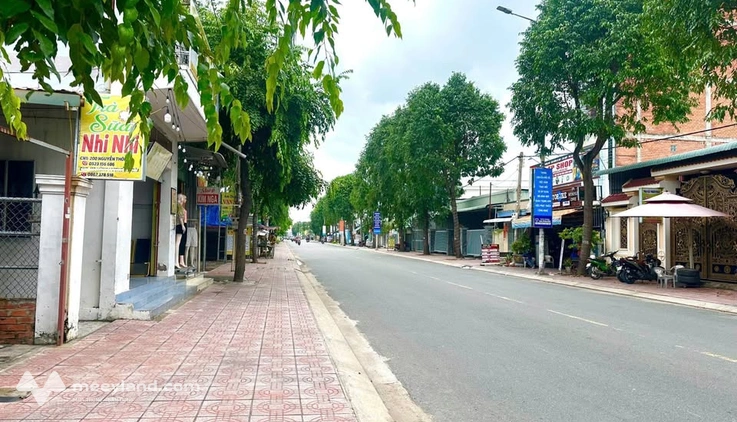 Bất động sản tại Long An - ảnh 1