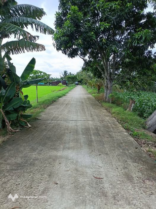 Bất động sản tại Kiên Giang - ảnh 1