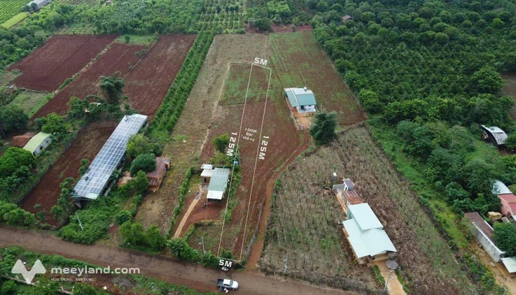 Bất động sản tại Gia Lai - ảnh 1