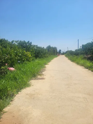 Bất động sản tại Lâm Đồng - ảnh 1