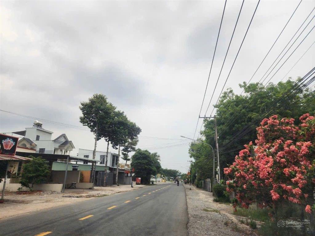 Bất động sản tại Bình Dương - ảnh 1