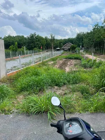 Bất động sản tại Bình Dương - ảnh 1