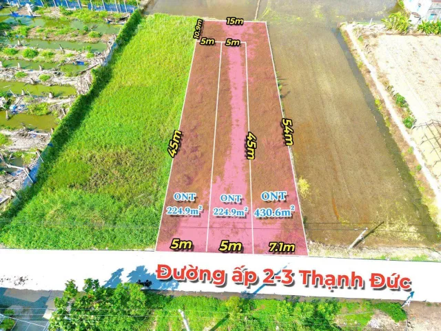 Bất động sản tại Long An - ảnh 1