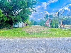Bất động sản tại Bình Phước - ảnh 1