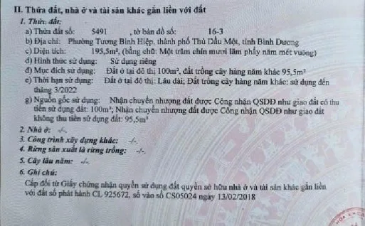 Bất động sản tại Bình Dương - ảnh 1