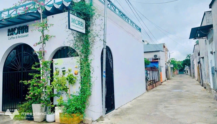 Bất động sản tại Bà Rịa - Vũng Tàu - ảnh 1