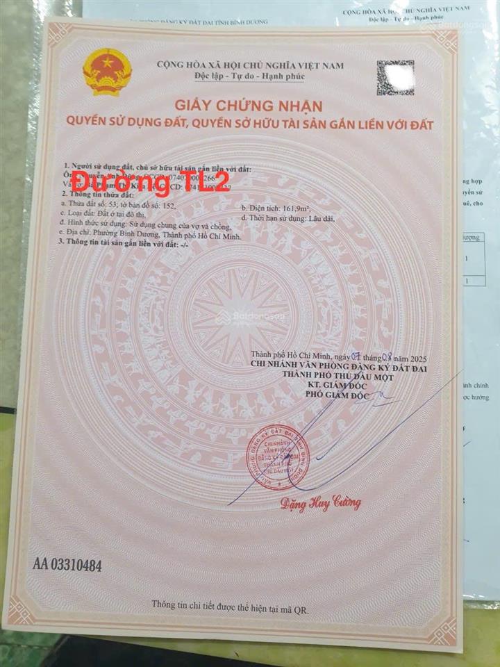 Bất động sản tại Bình Dương - ảnh 1