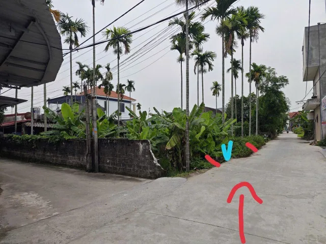 Bất động sản tại Hải Phòng - ảnh 1
