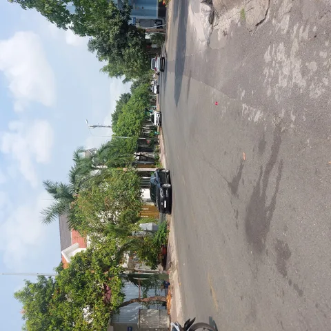 Bất động sản tại Bình Dương - ảnh 1