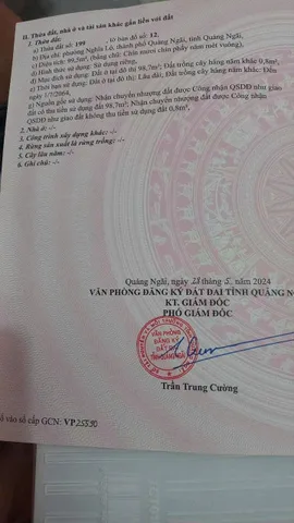 Bất động sản tại Quảng Ngãi - ảnh 1