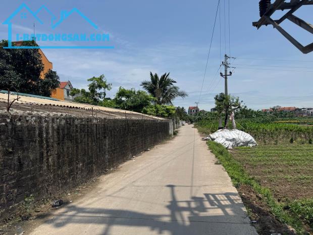 Bất động sản tại Hưng Yên - ảnh 1