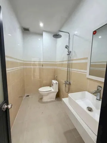 Bất động sản tại Bình Dương - ảnh 1