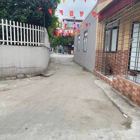 Bất động sản tại Hải Phòng - ảnh 1
