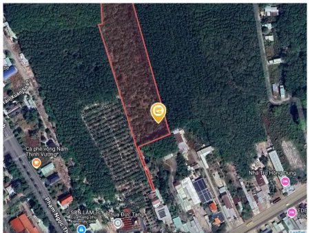 Bất động sản tại Bình Phước - ảnh 1