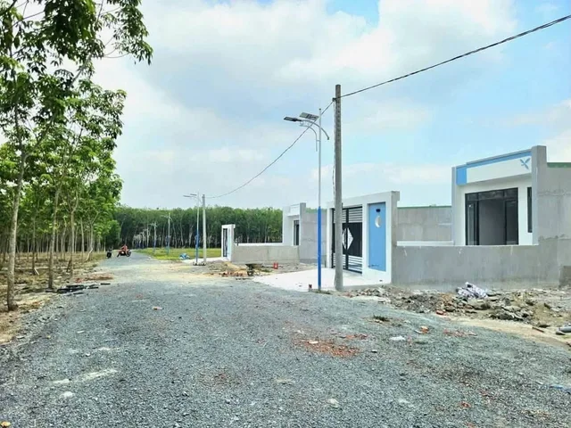 Bất động sản tại Bình Dương - ảnh 1
