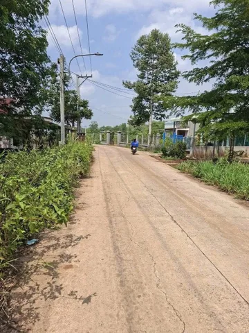 Bất động sản tại Bình Dương - ảnh 1