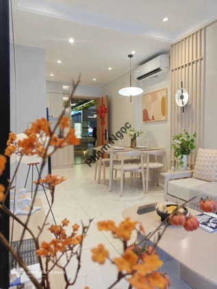Bất động sản tại Long An - ảnh 1