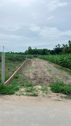 Bất động sản tại Quảng Ngãi - ảnh 1