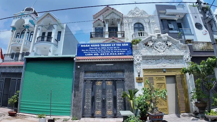 Bất động sản tại Bình Dương - ảnh 1