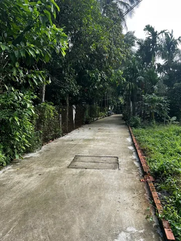 Bất động sản tại Bình Dương - ảnh 1