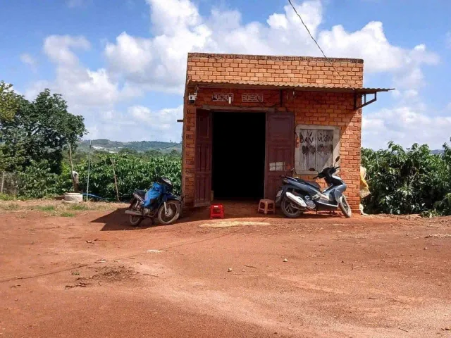 Bất động sản tại Lâm Đồng - ảnh 1