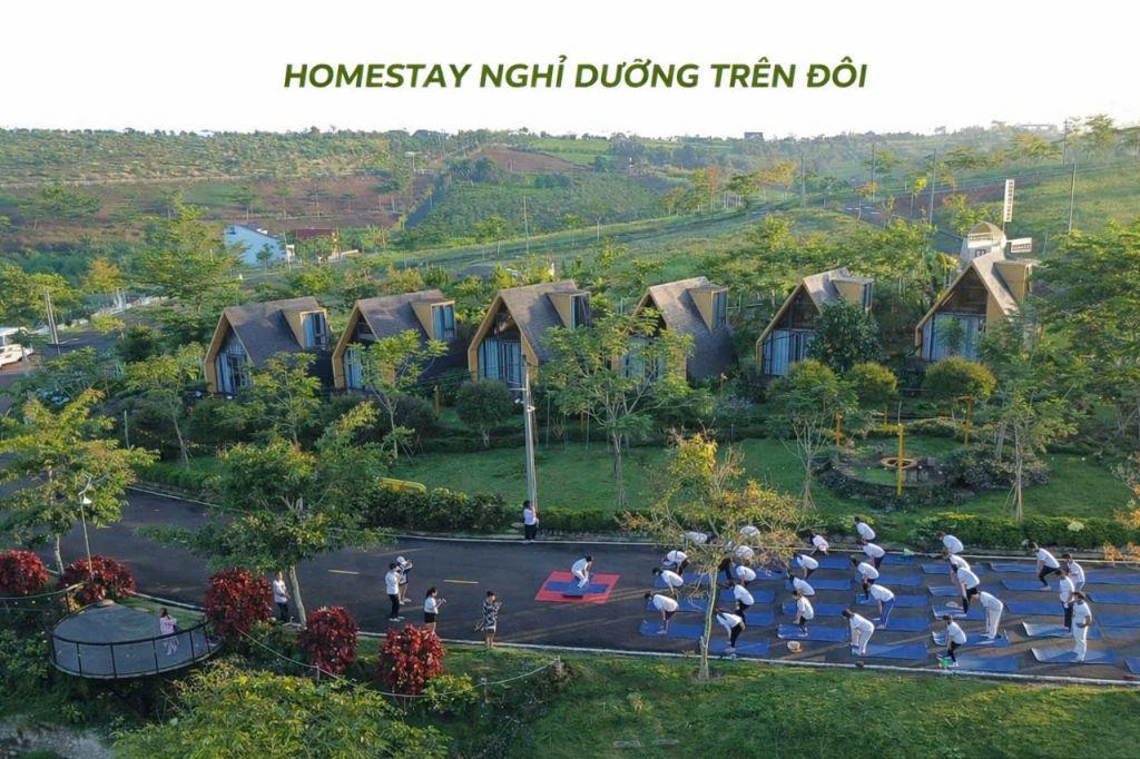 Bất động sản tại Lâm Đồng - ảnh 1