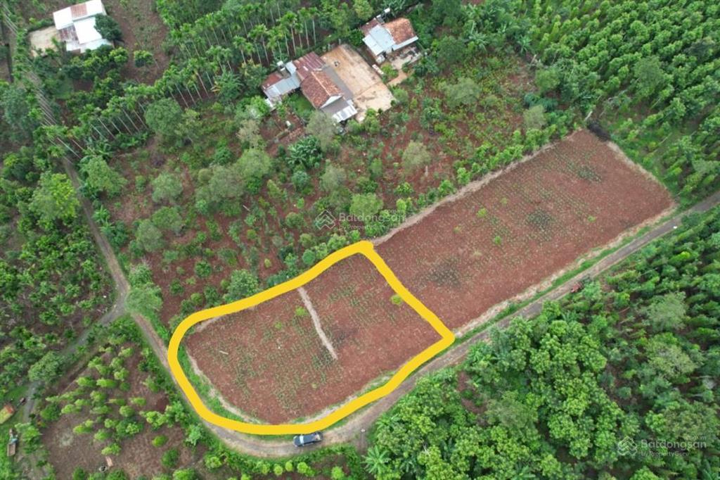 Bất động sản tại Đắk Lắk - ảnh 1