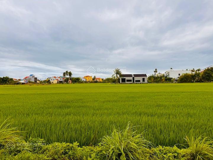 Bất động sản tại Quảng Nam - ảnh 1
