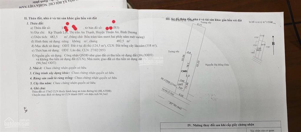 Bất động sản tại Bình Dương - ảnh 1