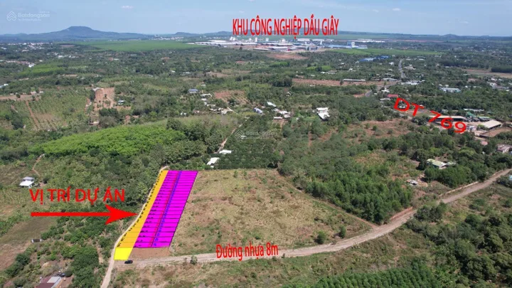 Bất động sản tại Đồng Nai - ảnh 1