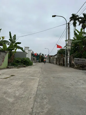 Bất động sản tại Hải Phòng - ảnh 1
