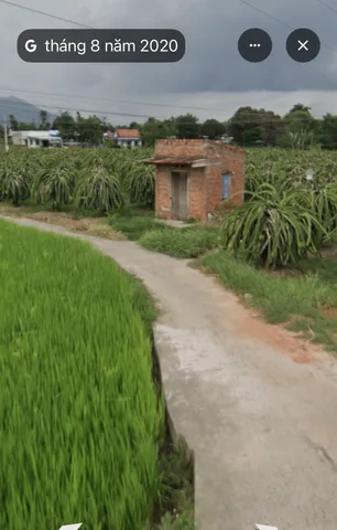 Bất động sản tại Lâm Đồng - ảnh 1