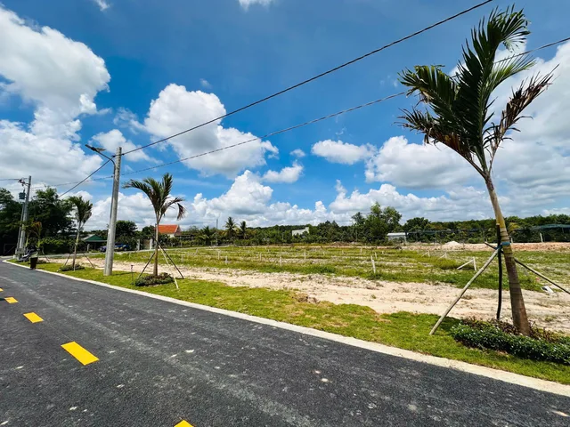 Bất động sản tại Bình Dương - ảnh 1