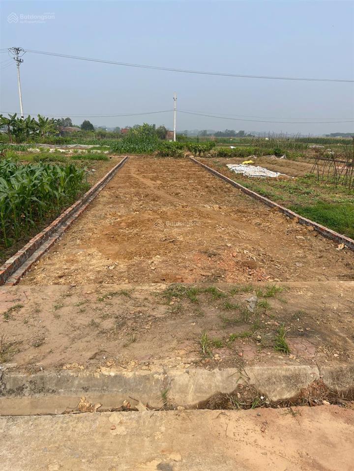 Bất động sản tại Hà Tĩnh - ảnh 1