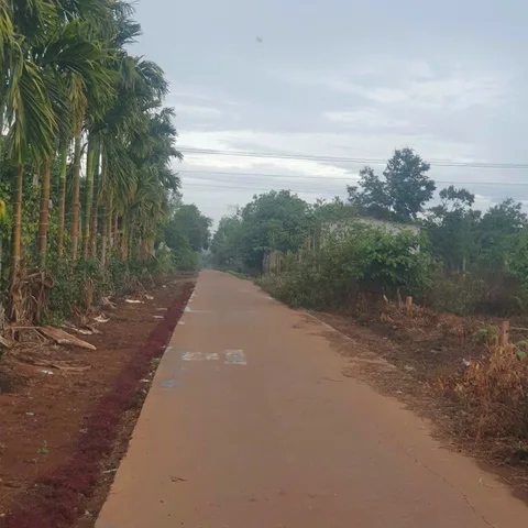 Bất động sản tại Đắk Lắk - ảnh 1