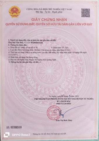 Bất động sản tại Quảng Ngãi - ảnh 1