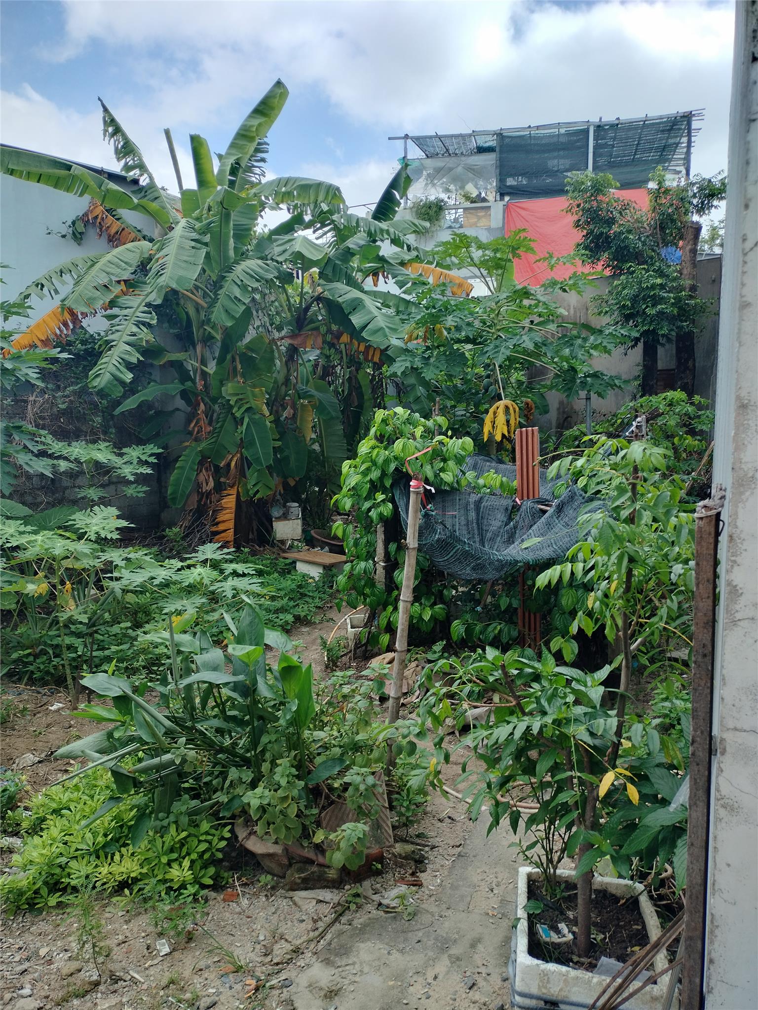Bất động sản tại Đà Nẵng - ảnh 1