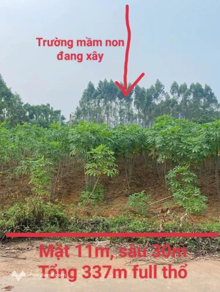 Bất động sản tại Vĩnh Phúc - ảnh 1