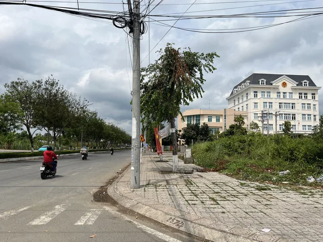 Bất động sản tại Cần Thơ - ảnh 1