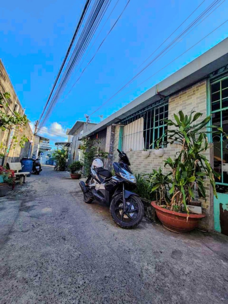 Bất động sản tại Bình Dương - ảnh 1