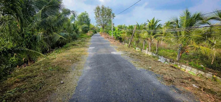 Bất động sản tại Đồng Tháp - ảnh 1